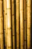 Product image 1 of the product “Bamboo pole  
