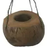 Product image 1 of the product “3/4 Coconutfruit as flowerpot with black string to hang, the opening is about 10cm deep ”