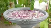Product image 1 of the product “Kediri - Bowl with flower motif, frangipani, Ø 50 cm | cast stone ”