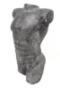 Product image 1 of the product “Male Torso. 29 x 17 x 50cm. Stone cast, handcrafted & coloured ”