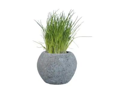 Product image of the product “Planter (herb pot), round, smooth, Ø 20.5 cm ”