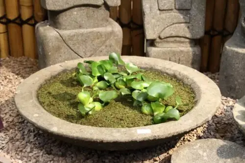 Product image of the product “Bowl model „Lotus“, bossed outer surface, 30x30x 9cm Natural stone (Basanit), ”