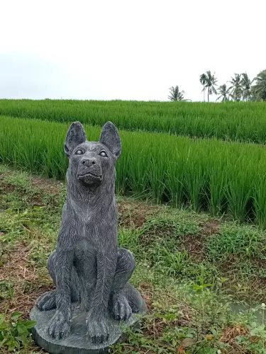 Product image of the product “Seated shepard dog, 65cm Height - cast stone. ”
