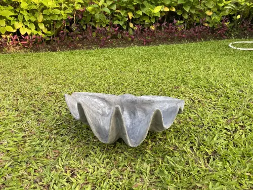 Product image of the product “Marina - Sea shells, 41cm L | cast stone ”
