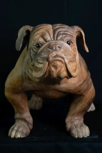 Product image of the product “Standing French Bulldog made from suar wood, 75cm Height. ”
