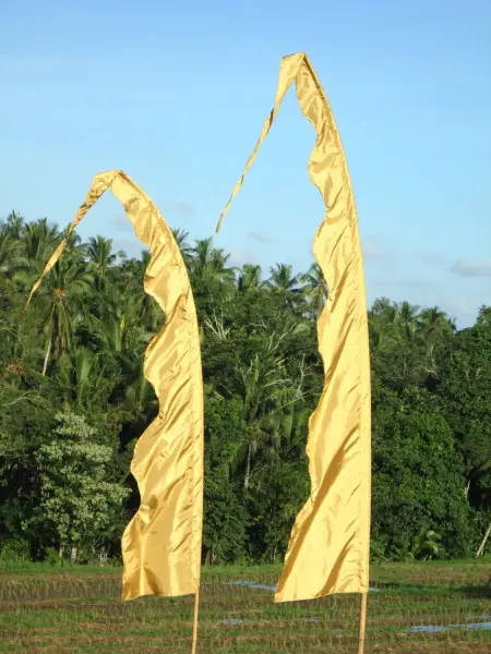 Product image 1 of the product “Bali flag, satin, gold ”
