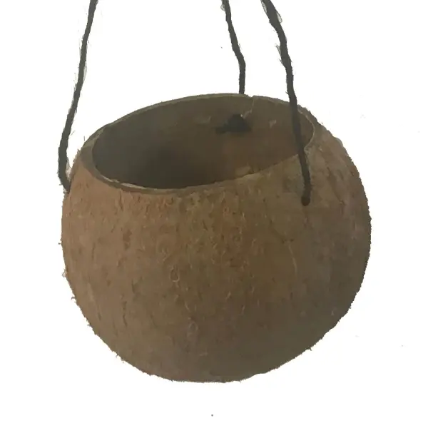 Product image 1 of the product “High natural coconut bowl flower pot with  string ”