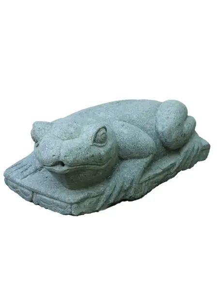 Product image 1 of the product “Frog Surtito, about 60cm long ”