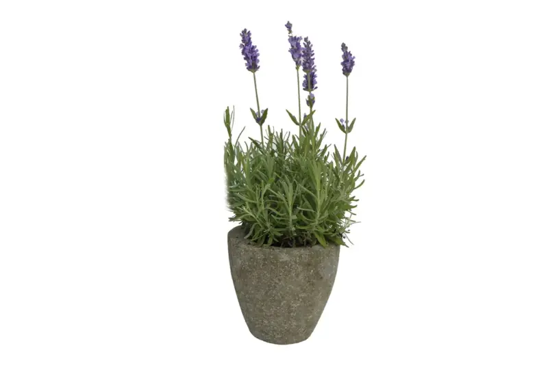Product image 1 of the product “Round vessel, made of basanite - Konka ”