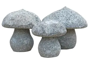 Product image 1 of the product “Fungal object of a piece, in the sizes from 15 to 28cm, natural stone (Basanit), stonemasonry ”