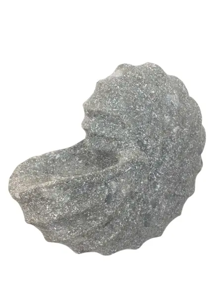 Product image 1 of the product “Nautilus shell, in the sizes from 15 to 30cm, basanite, natural ”