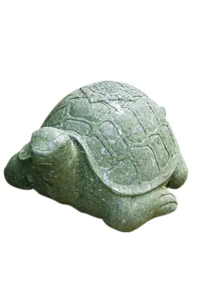 Product image 1 of the product “Turtle, ca 45cm long, natural finish ”