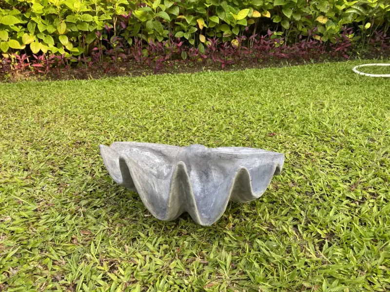 Product image 1 of the product “Marina - Sea shells, 41cm L | cast stone ”