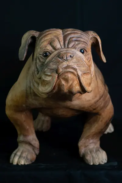 Product image 1 of the product “Standing French Bulldog made from suar wood, 75cm Height. ”