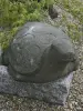 Product image 2 of the product “Turtle, ca 45cm long,antique finish ”