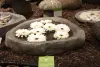 Product image 2 of the product “Round Pond, natural edge, approx 40 x 30 x 8cm. Made from Riverstone ”
