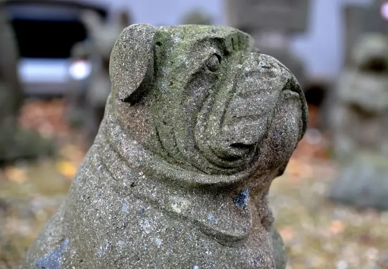 Product image of the product “Seat bulldog on pedestal, about 60cm high ”