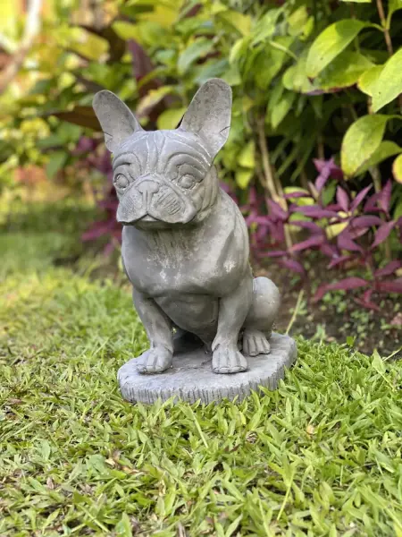 Product image of the product “Sunny - French bulldog, 33.5cm H | cast stone ”