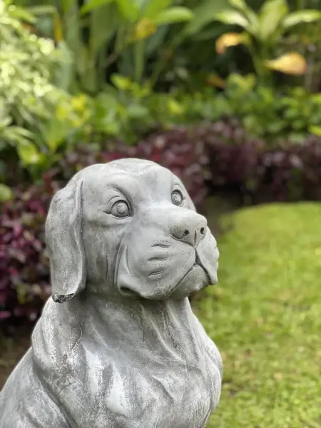 Product image of the product “Henry - Dog, sitting 66cm H | cast stone ”