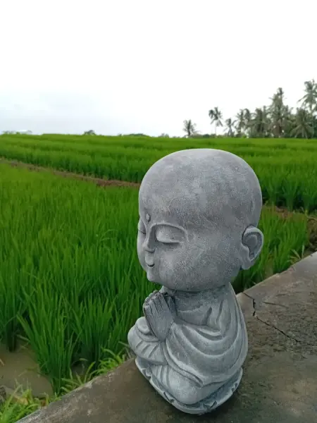 Product image of the product “Ishaan - Sitting Monk Big Head, 29.5cm Height | cast stone ”