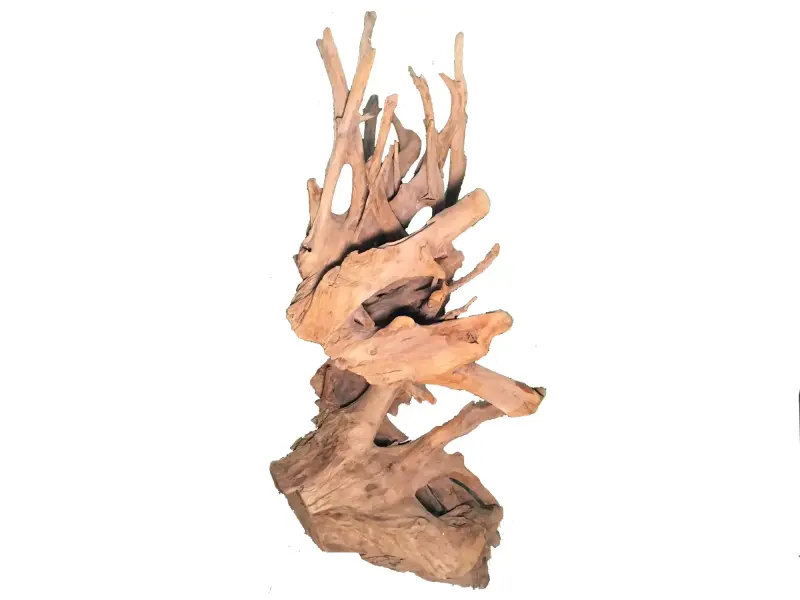 Product image 2 of the product “Deco from teak root. Approx. 145cm height ”
