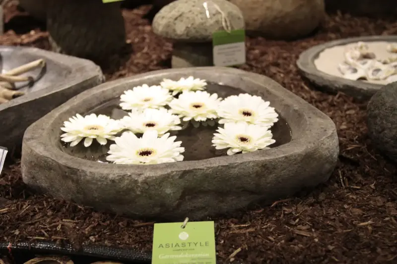 Product image of the product “Round Pond, natural edge, approx 40 x 30 x 8cm. Made from Riverstone ”