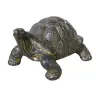 Product image 3 of the product “Turtle, 24cm Length | GRC (Glassfibre Reinforced Concrete), Copper Finish ”