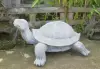 Product image 4 of the product “Winston - Big Turtle, 85 cm Length | cast stone ”