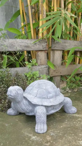 Product image 4 of the product “Shelby - Small Turtle, 48.5 cm L | cast stone ”