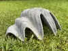 Product image 5 of the product “Marina - Sea shells, 41cm L | cast stone ”