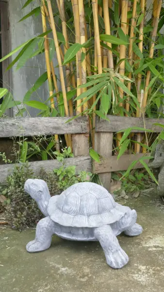 Product image 5 of the product “Shelby - Small Turtle, 48.5 cm L | cast stone ”