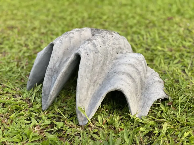 Product image 6 of the product “Marina - Sea shells, 41cm L | cast stone ”