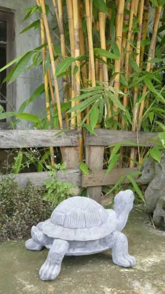 Product image 6 of the product “Shelby - Small Turtle, 48.5 cm L | cast stone ”