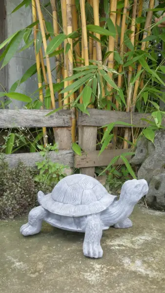 Product image 7 of the product “Shelby - Small Turtle, 48.5 cm L | cast stone ”
