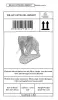 Product image 9 of the product “Rajah - Elephant, looking to the left, 66 cm L | cast stone ”